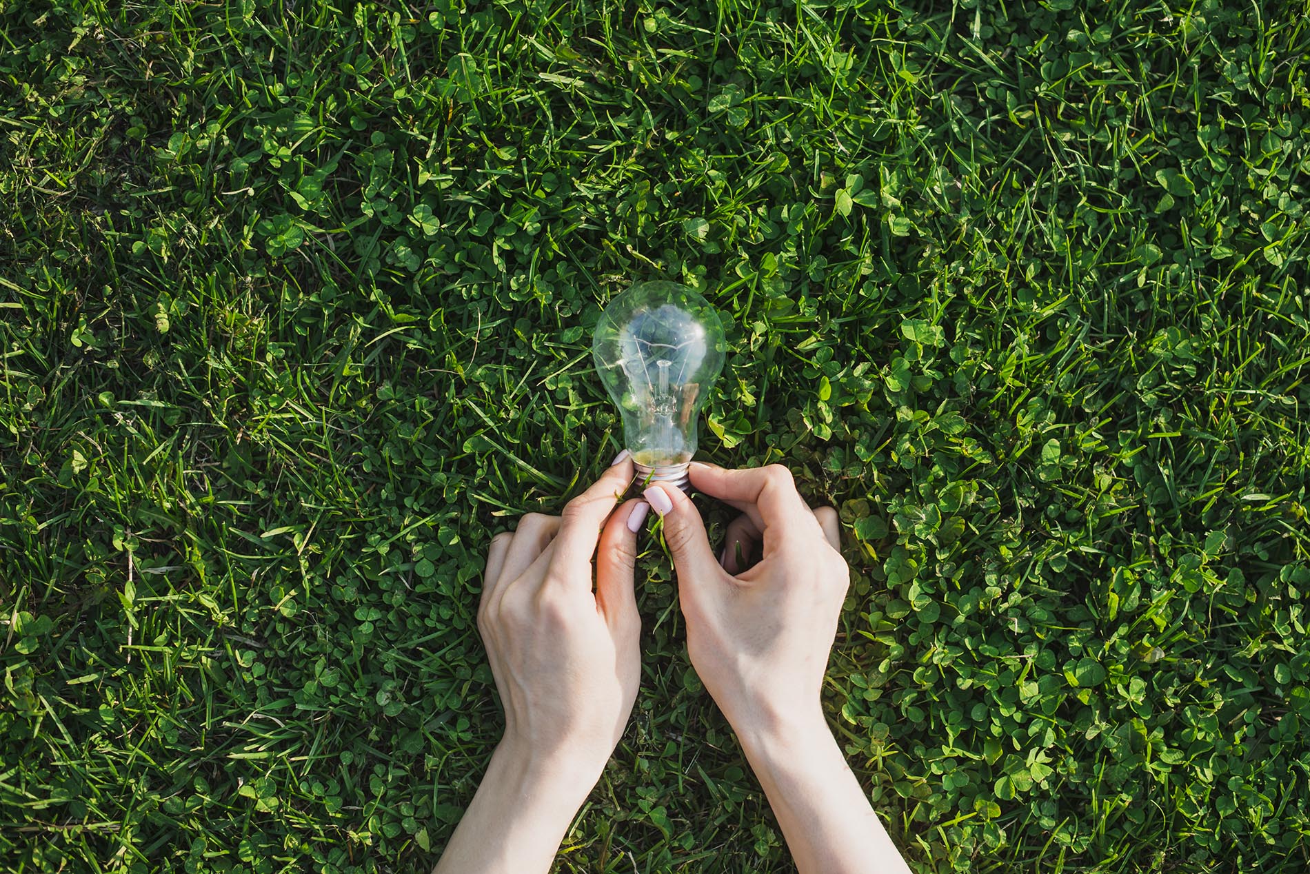 Empresas que optam pelo outsourcing de impressão aumentam seus lucros e promovem a sustentabilidade.